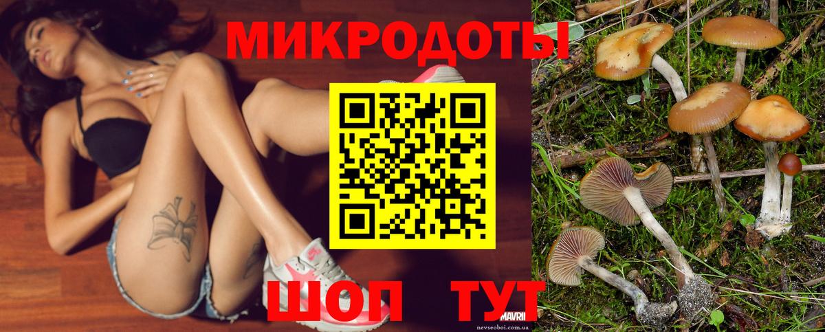 Псилоцибиновые грибы мухоморы Долгопрудный