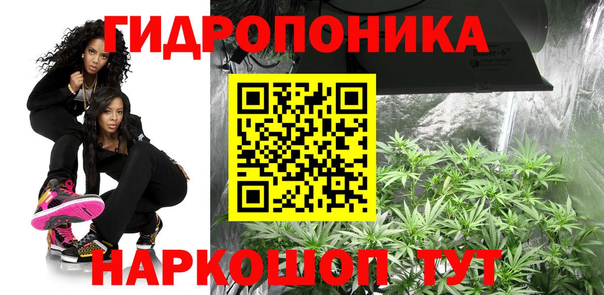 Бошки марихуана марихуана Долгопрудный